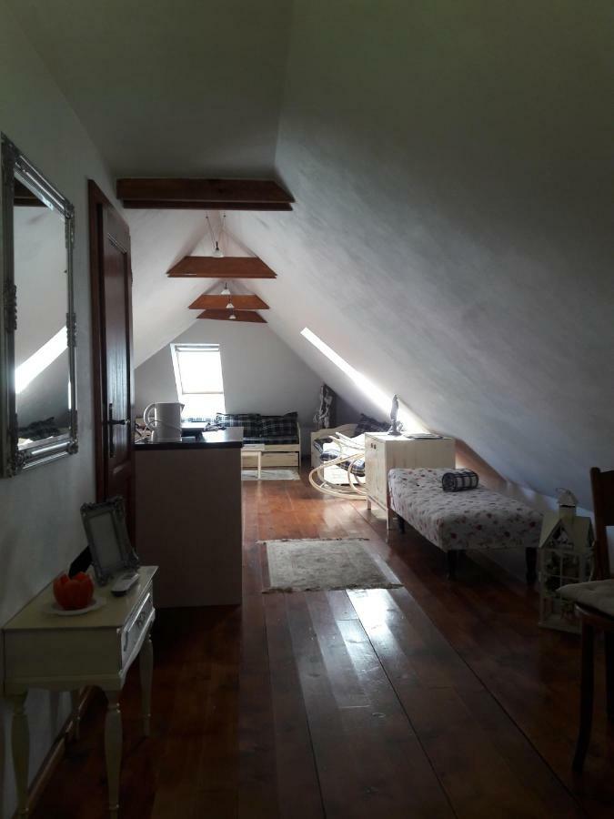 Banská Štiavnica Apartman-Bartko מראה חיצוני תמונה